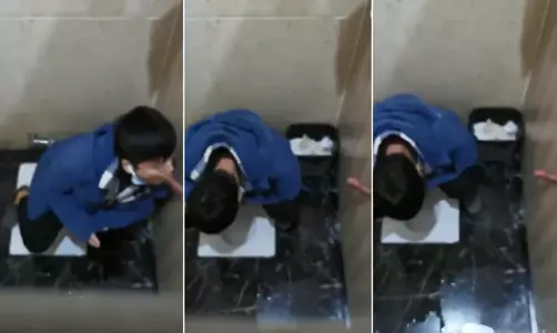 鸟洞，卧槽，太会玩了的!